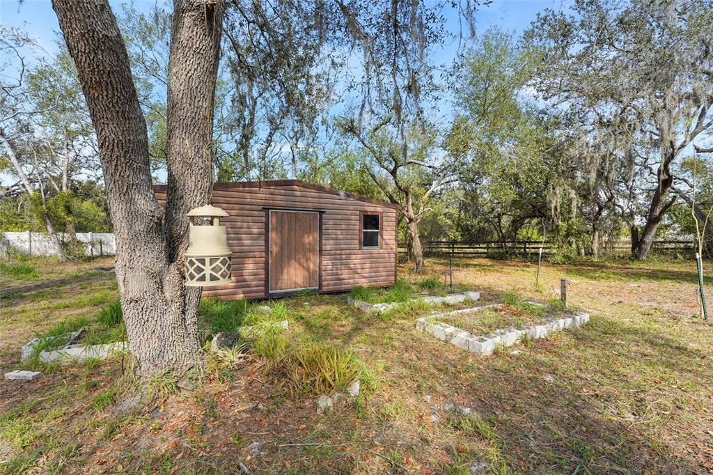 23655 Jennings Road Myakka City, FL 34251 - Photo 23 of 43 a backyard of a house with lots of green space