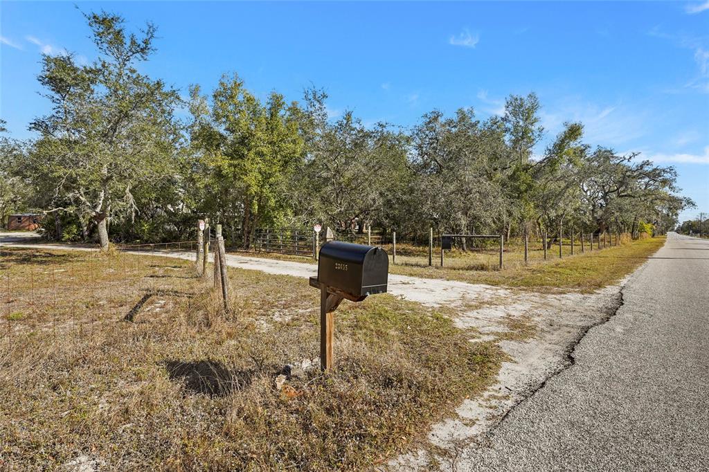 23655 Jennings Road Myakka City, FL 34251 - Photo 26 of 43 a view of a park with large trees