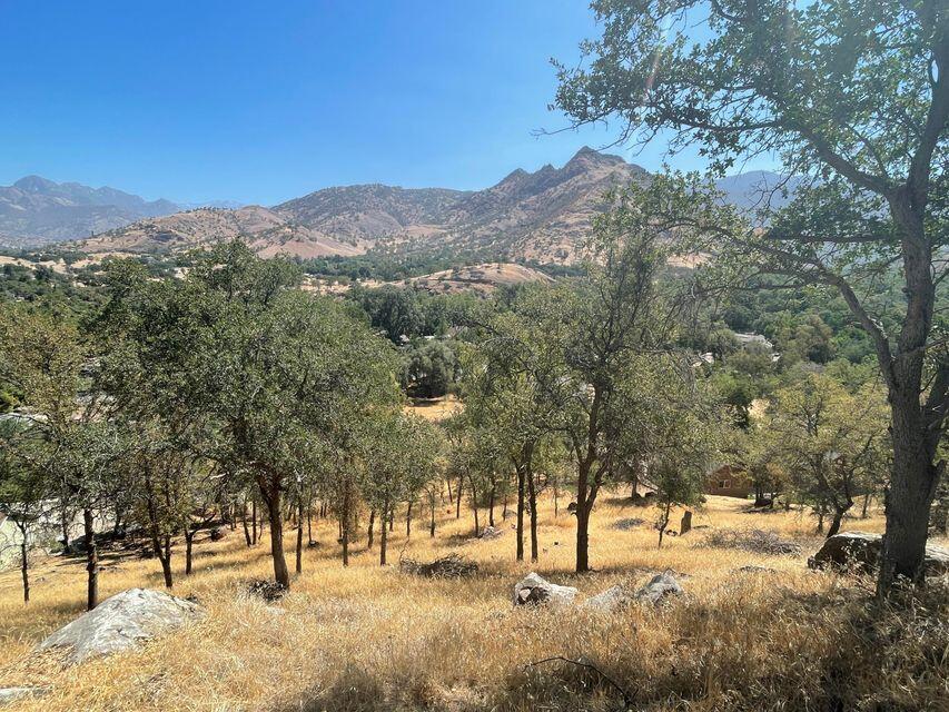 0 Crystal Drive Three Rivers, CA 93271 - Photo 1 of 4 Crystal View