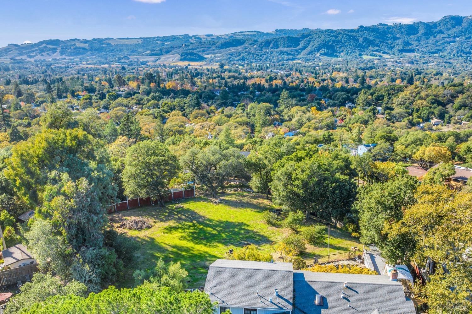 an aerial view of residential houses with outdoor space and trees