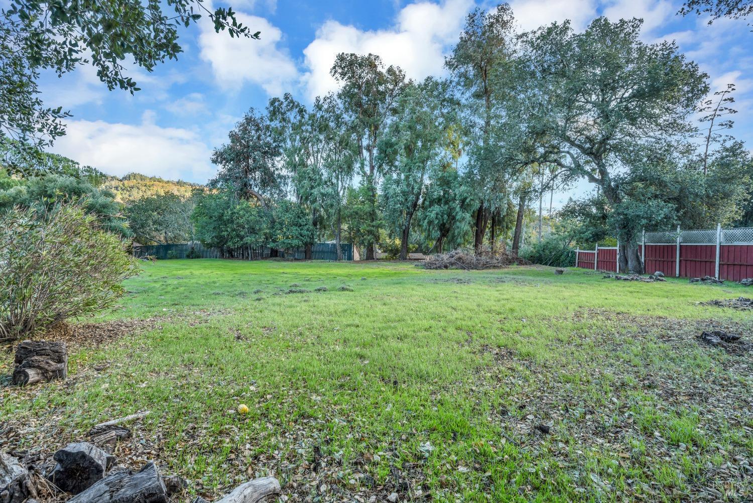 1195-1197 Alberca Road Sonoma, CA 95476 - Photo 11 of 23 a view of a garden with a tree in the background