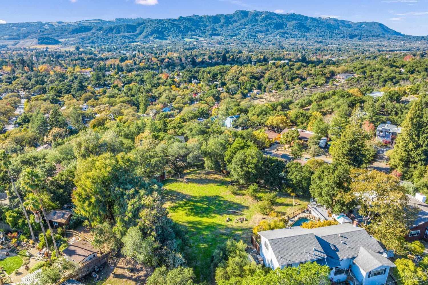1195-1197 Alberca Road Sonoma, CA 95476 - Photo 15 of 23 a view of a city with lush green forest