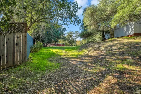 a view of a yard with an tree