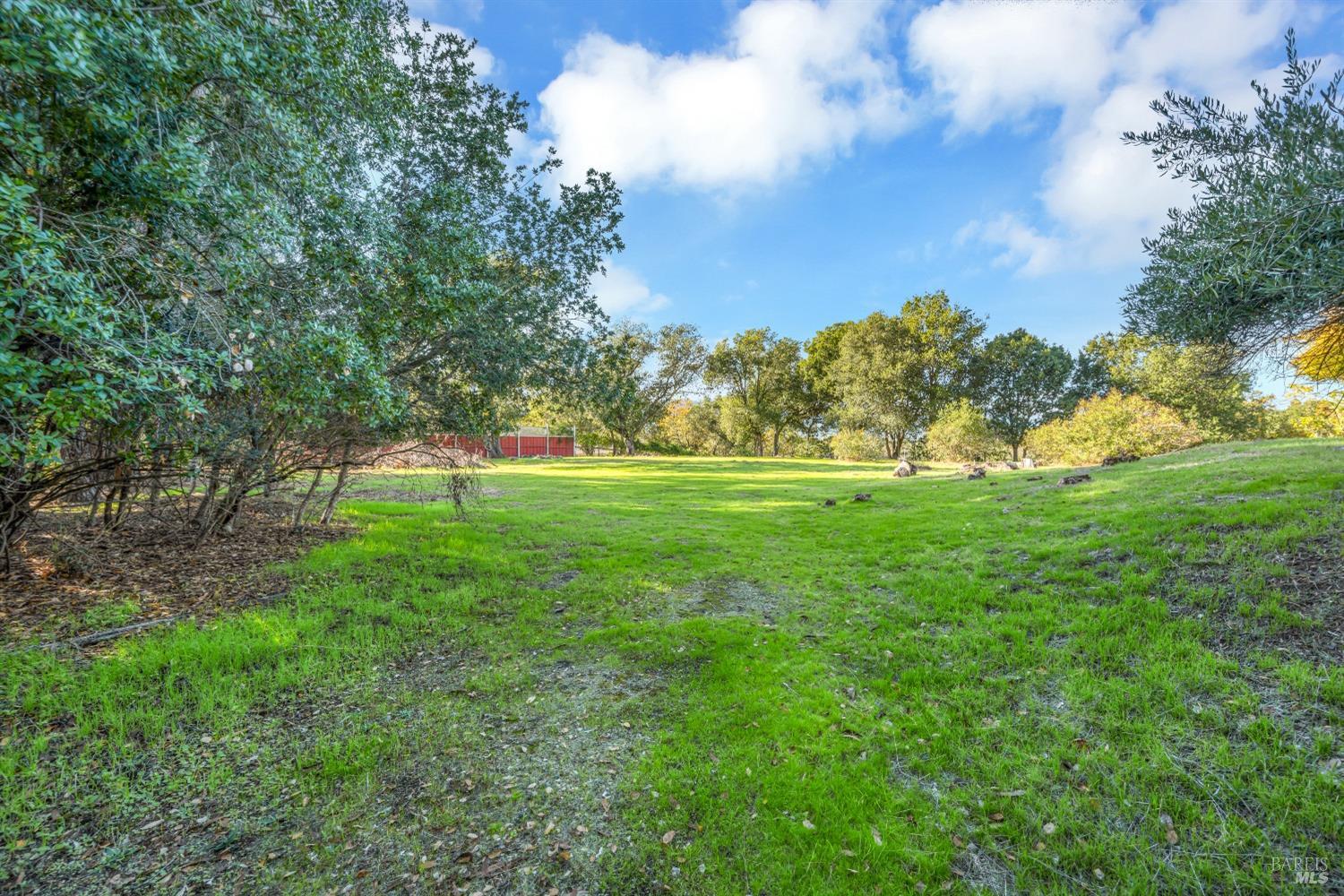 1195-1197 Alberca Road Sonoma, CA 95476 - Photo 4 of 23 a view of grassy field with benches