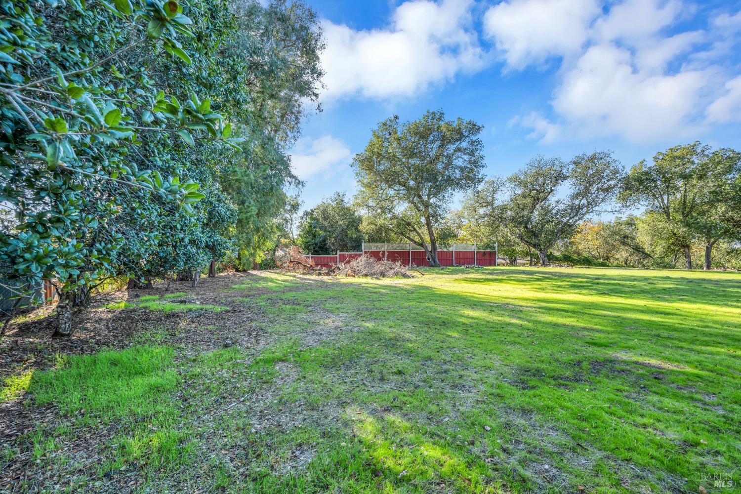 1195-1197 Alberca Road Sonoma, CA 95476 - Photo 6 of 23 a view of outdoor space with garden and trees