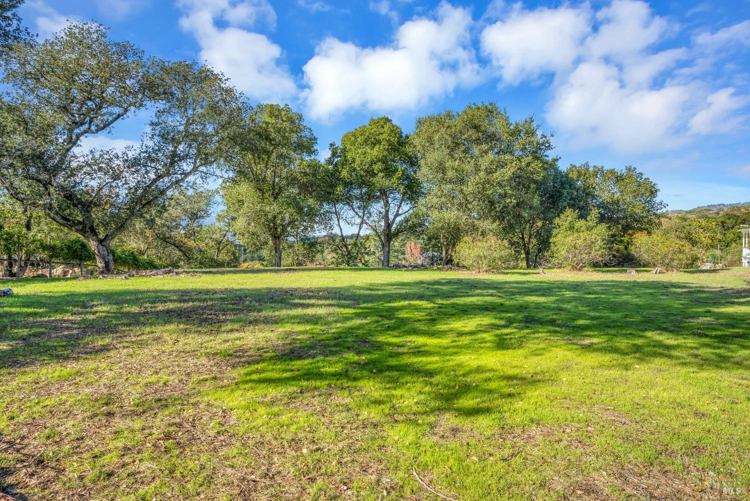 1195-1197 Alberca Road Sonoma, CA 95476 - Photo 8 of 23 a view of a garden with trees