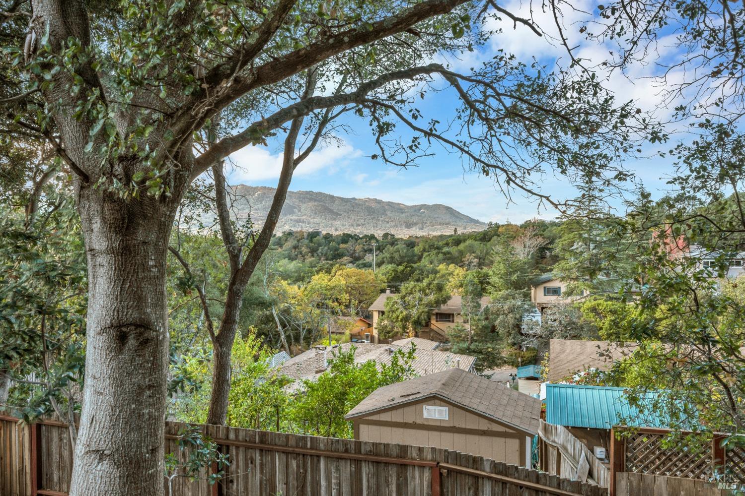 1195-1197 Alberca Road Sonoma, CA 95476 - Photo 10 of 23 a view of city from balcony