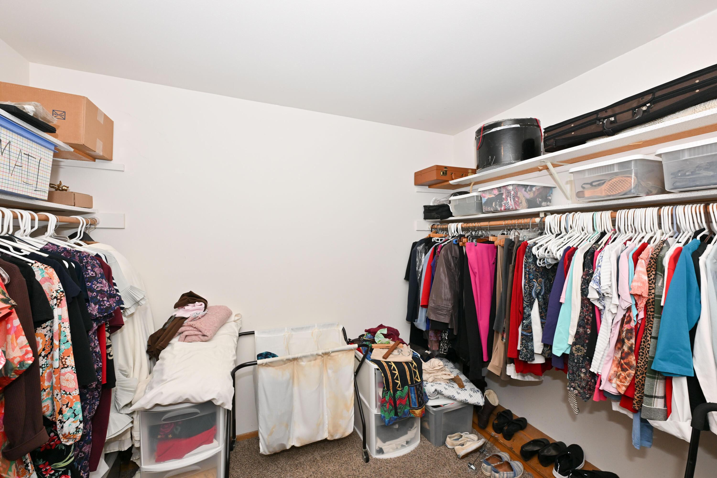 1730 West Green Tree Road, Unit 104 Glendale, WI 53209 - Photo 15 of 28 AMAZING walk-in closet!