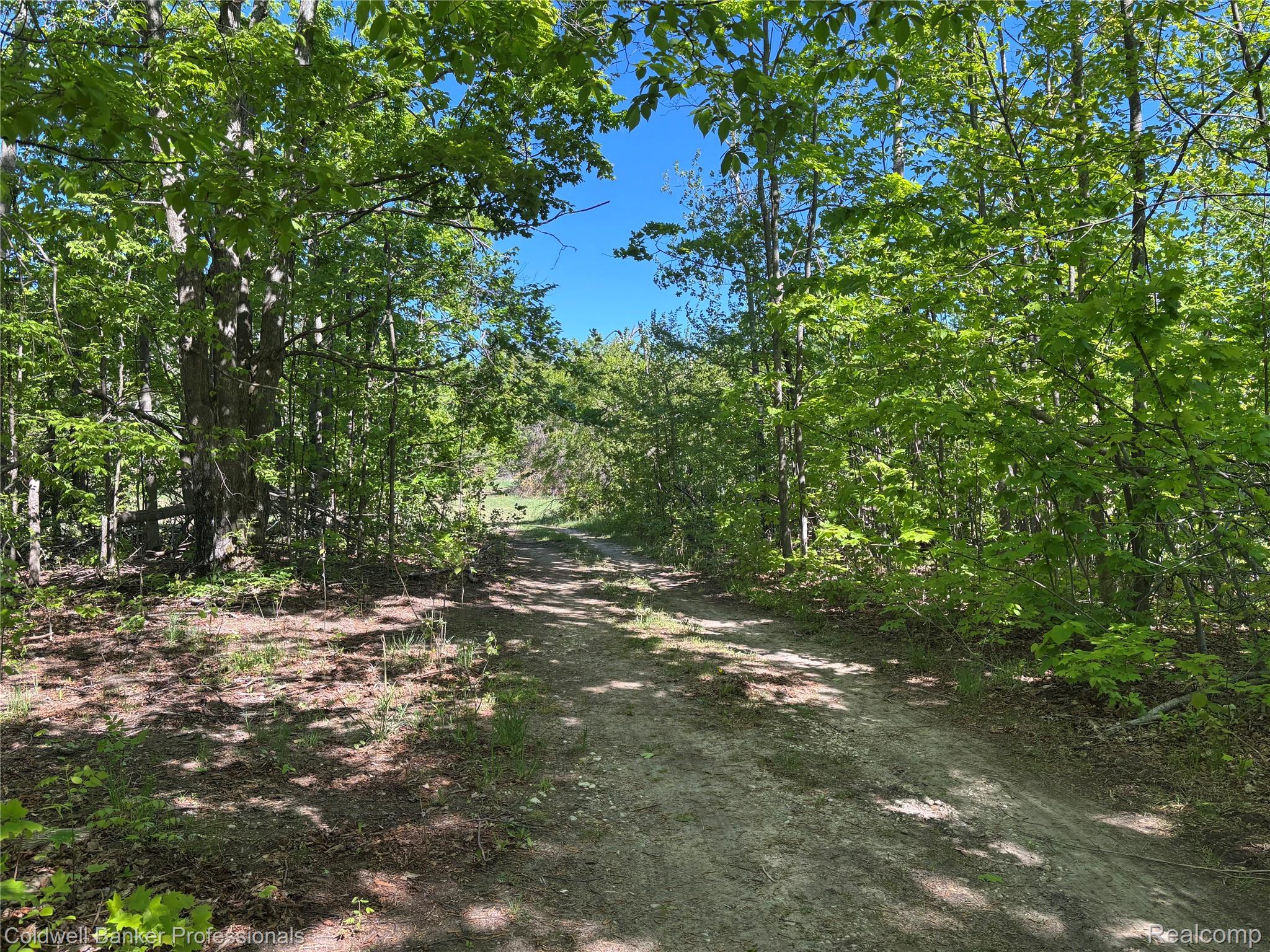 11560 Ashman Hl Road Boyne Falls, MI 49713 - Photo 22 of 22 Season road leading up to property