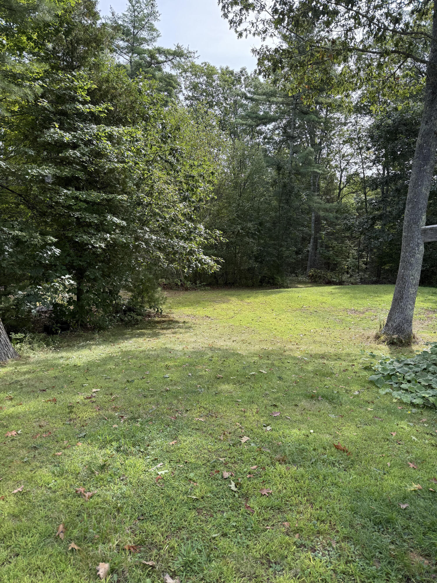 56 Gross Neck Road Waldoboro, ME 04572 - Photo 25 of 25 Bernardi photo outside