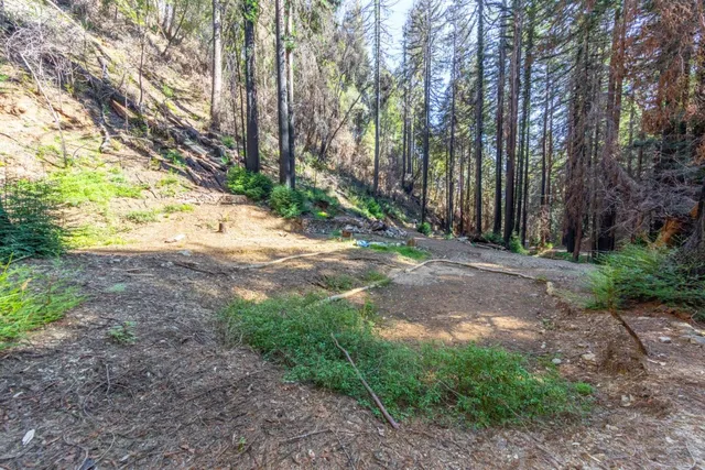 a backyard of a house with lots of green space