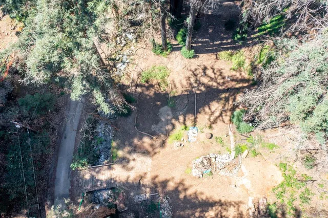 a view of flowers in middle of the yard