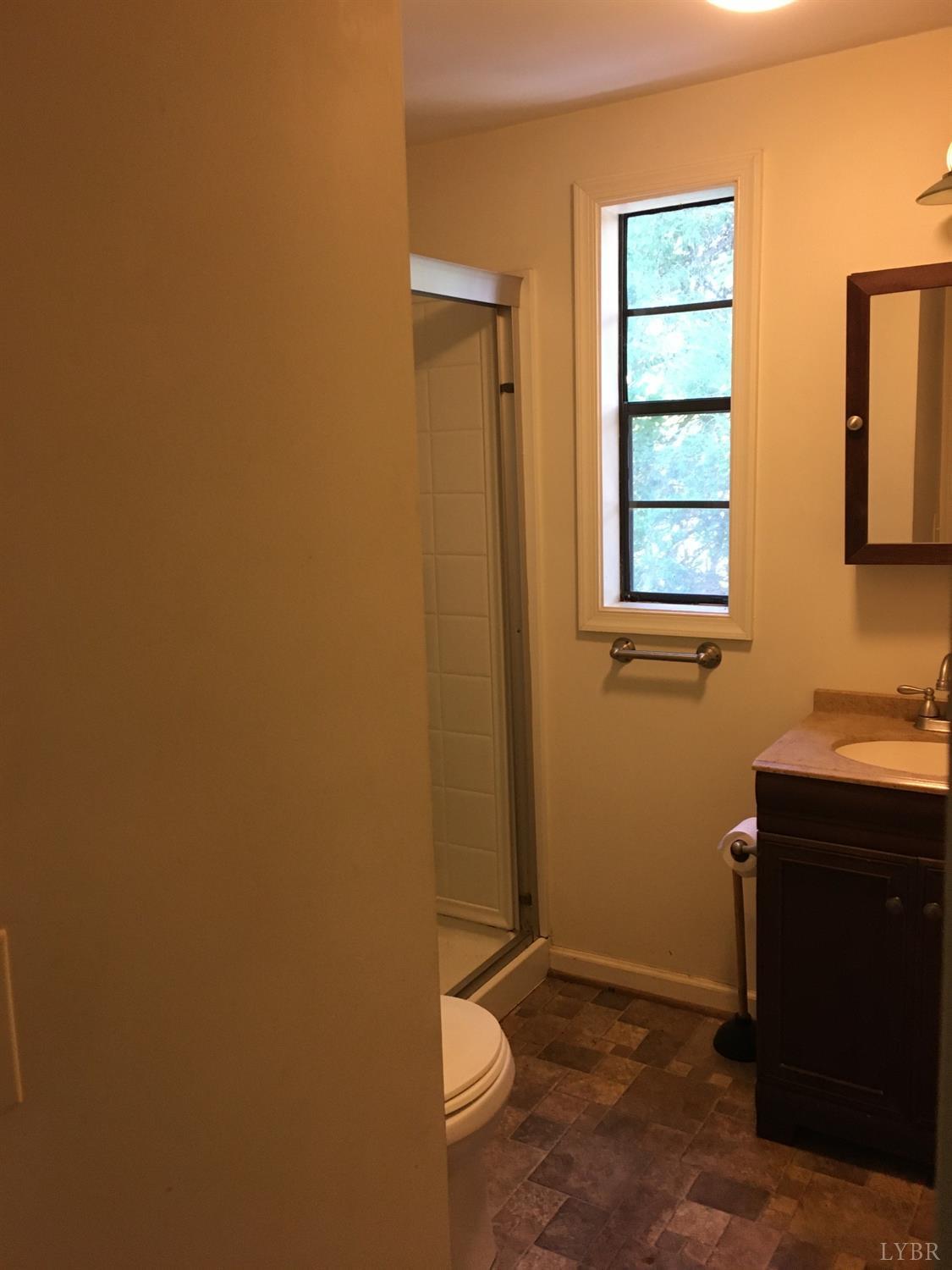 1066 Stevens Cove Road Lovingston, VA 22949 - Photo 10 of 15 a bathroom with a sink a toilet and a window