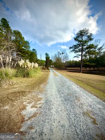 a view of backyard with large trees