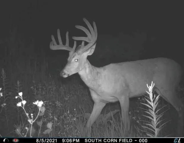 $1,695,000 | 0 Simon Road, Mondovi, WI 54755