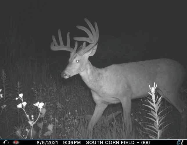 0 Simon Road Mondovi, WI 54755 - Photo 12 of 55 tempImageXcTBTS