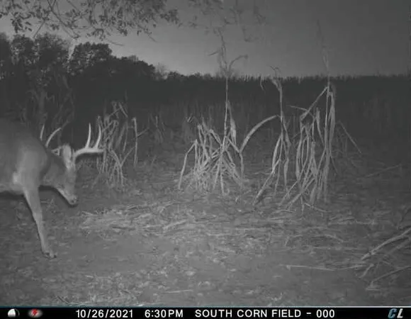 $1,695,000 | 0 Simon Road, Mondovi, WI 54755