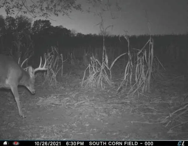 $1,695,000 | 0 Simon Road, Mondovi, WI 54755