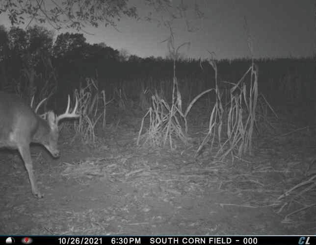 0 Simon Road Mondovi, WI 54755 - Photo 14 of 55 tempImagesYpRki