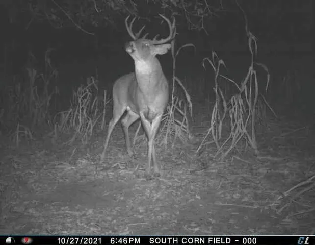 $1,695,000 | 0 Simon Road, Mondovi, WI 54755