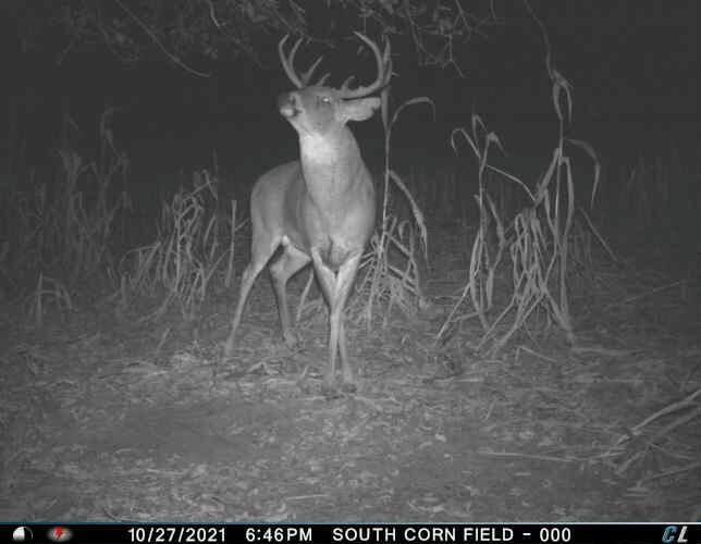 0 Simon Road Mondovi, WI 54755 - Photo 15 of 55 tempImage24O0nZ