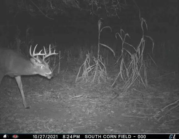 $1,695,000 | 0 Simon Road, Mondovi, WI 54755