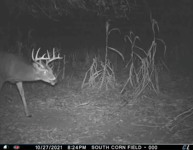 $1,695,000 | 0 Simon Road, Mondovi, WI 54755