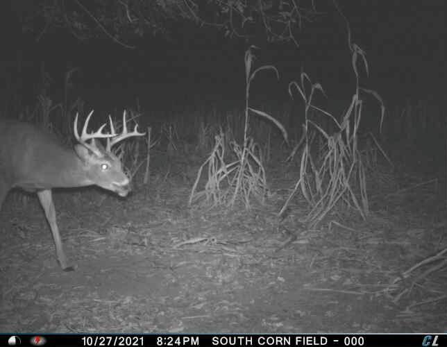 0 Simon Road Mondovi, WI 54755 - Photo 17 of 55 tempImagei9szPN