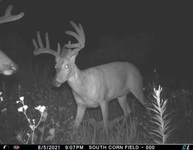 $1,695,000 | 0 Simon Road, Mondovi, WI 54755