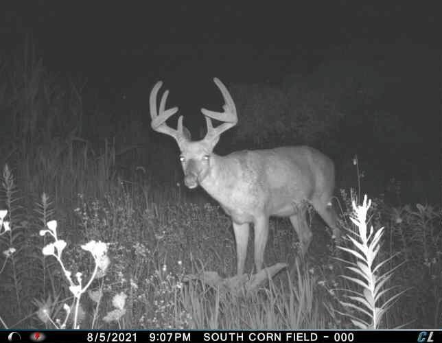 0 Simon Road Mondovi, WI 54755 - Photo 19 of 55 tempImagekTnlES