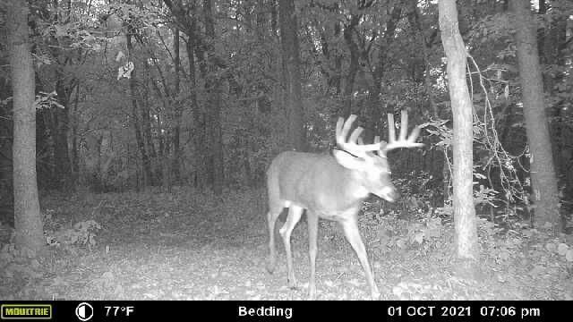 0 Simon Road Mondovi, WI 54755 - Photo 20 of 55 tempImagedYRNJa