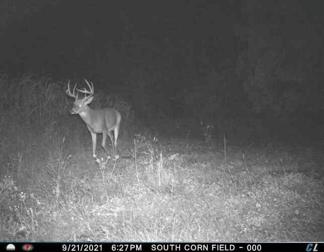 0 Simon Road Mondovi, WI 54755 - Photo 21 of 55 tempImageq7quZZ