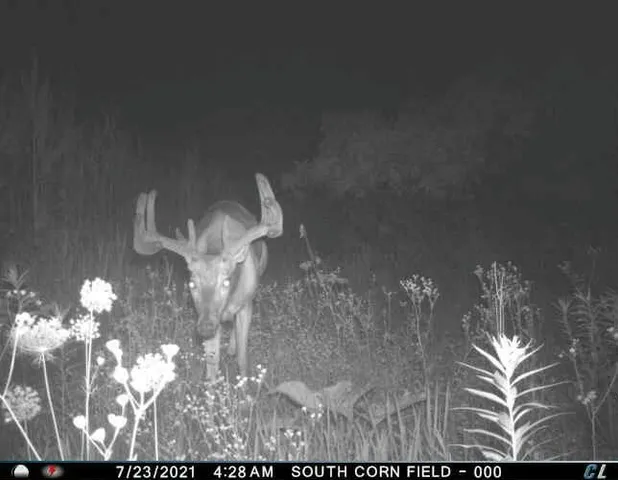 $1,695,000 | 0 Simon Road, Mondovi, WI 54755