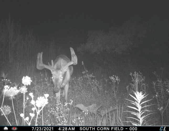 0 Simon Road Mondovi, WI 54755 - Photo 22 of 55 tempImagedSQrsa