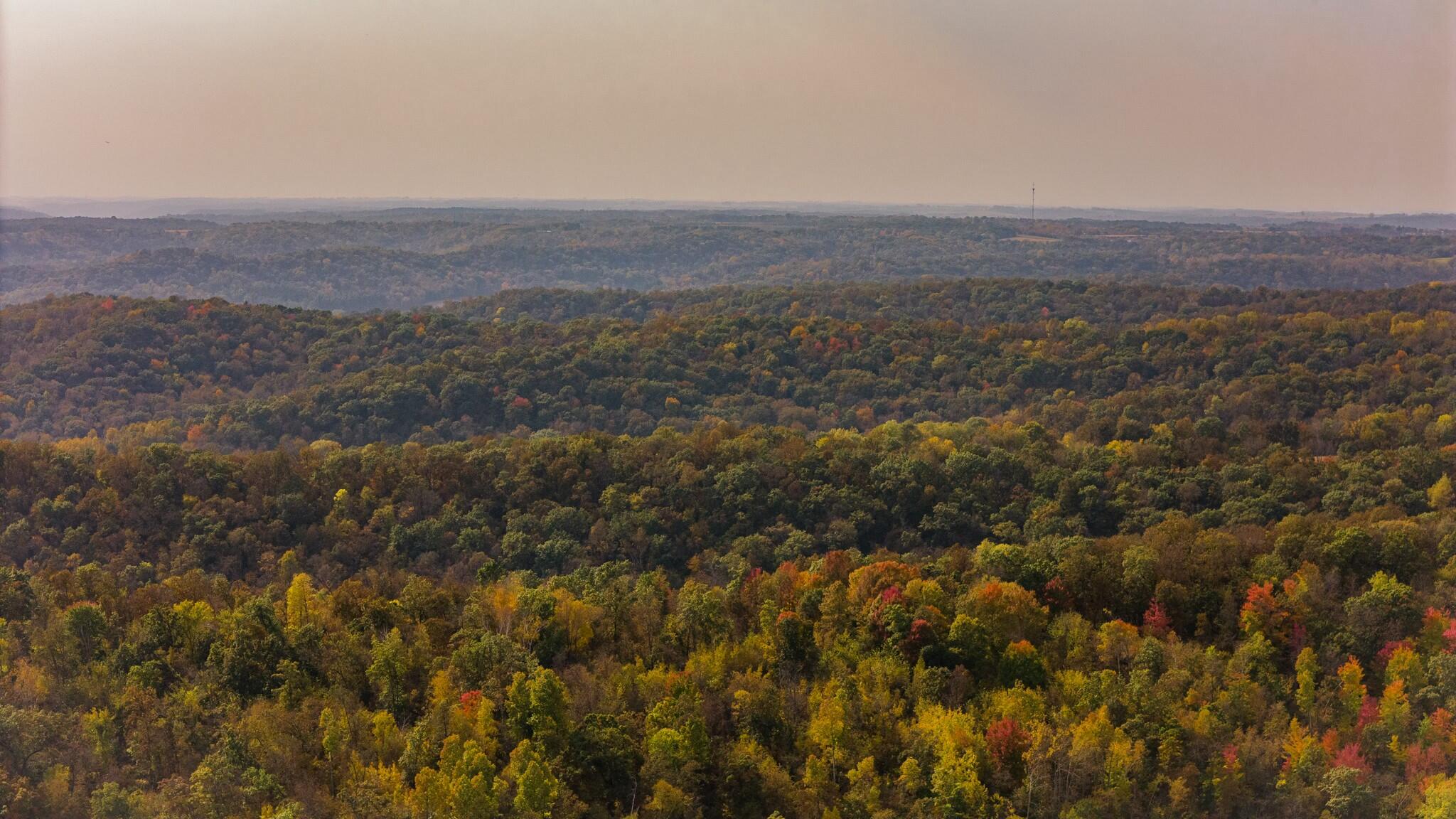 0 Simon Road Mondovi, WI 54755 - Photo 23 of 55 tempImageX3yydV