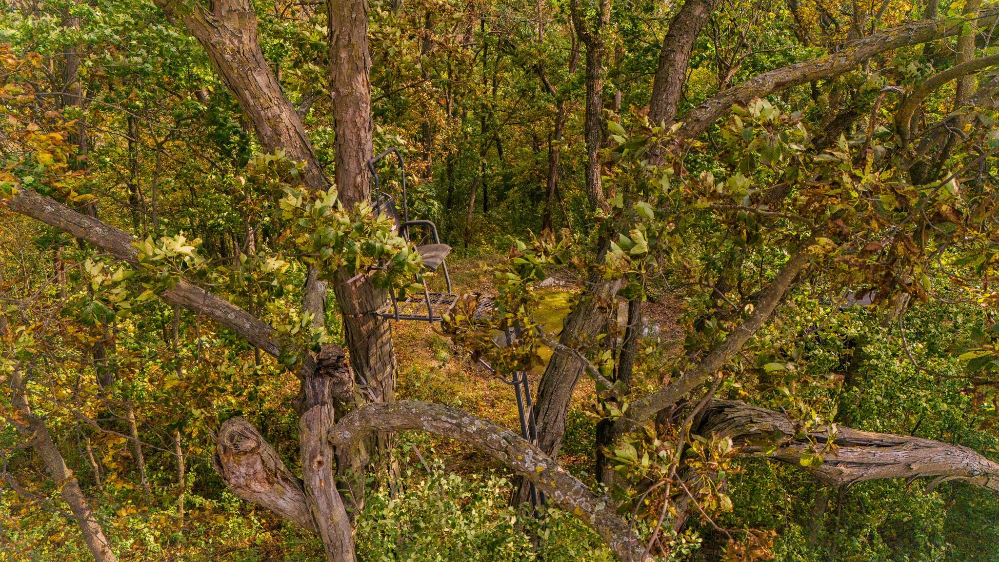 0 Simon Road Mondovi, WI 54755 - Photo 25 of 55 tempImageHKpH91