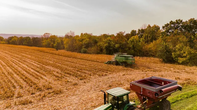 $1,695,000 | 0 Simon Road, Mondovi, WI 54755