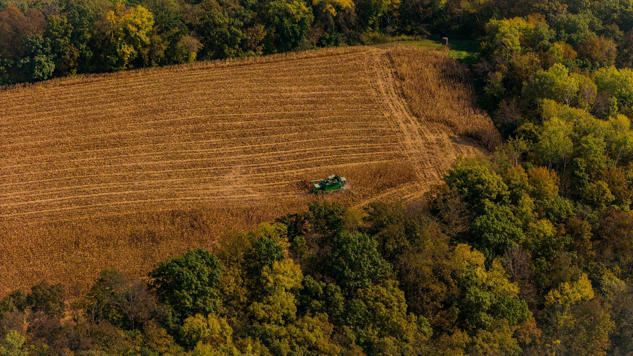 0 Simon Road Mondovi, WI 54755 - Photo 30 of 55 tempImage0gSXwI