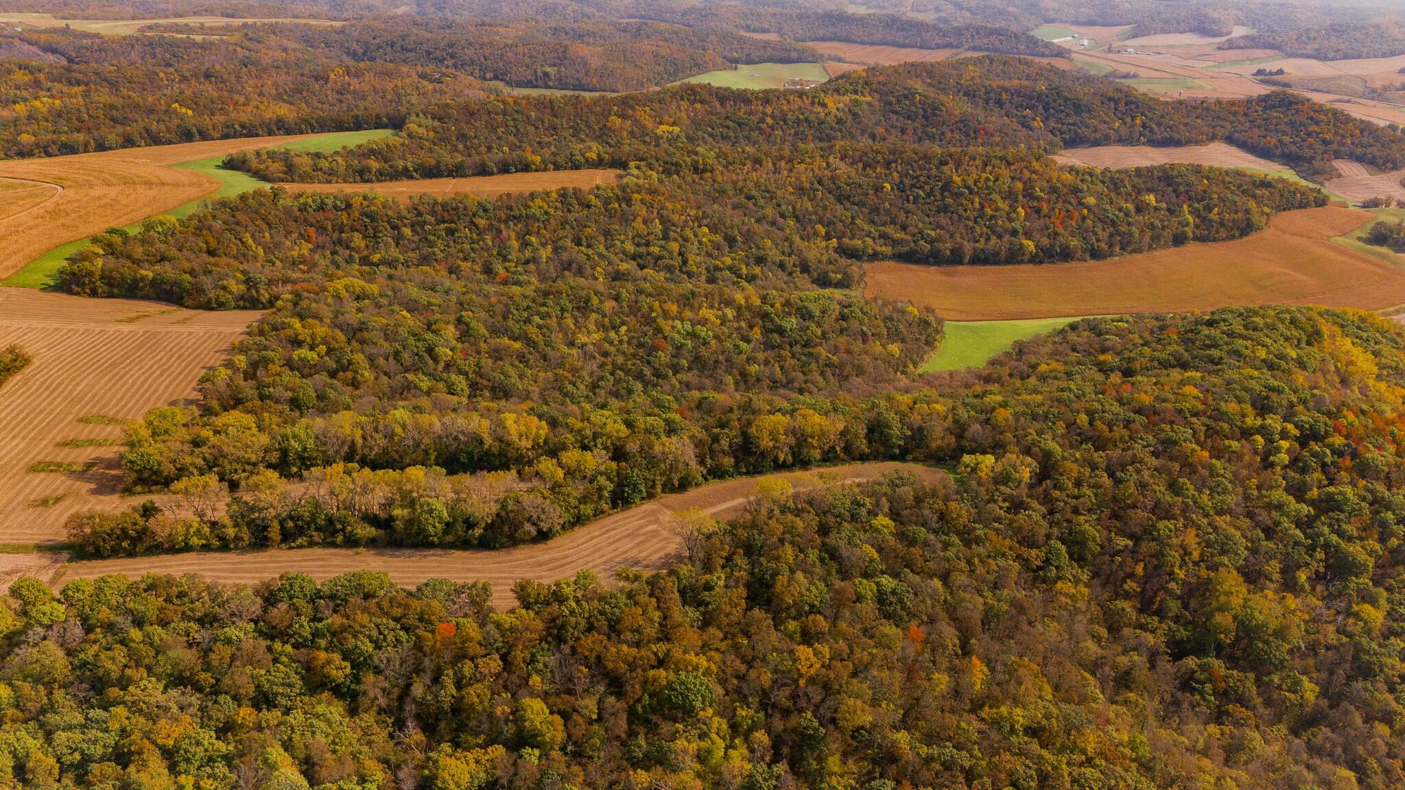 0 Simon Road Mondovi, WI 54755 - Photo 35 of 55 tempImagesX9DtZ