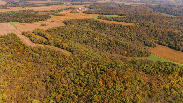 $1,695,000 | 0 Simon Road, Mondovi, WI 54755