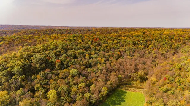 $1,695,000 | 0 Simon Road, Mondovi, WI 54755