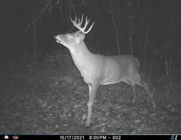 $1,695,000 | 0 Simon Road, Mondovi, WI 54755