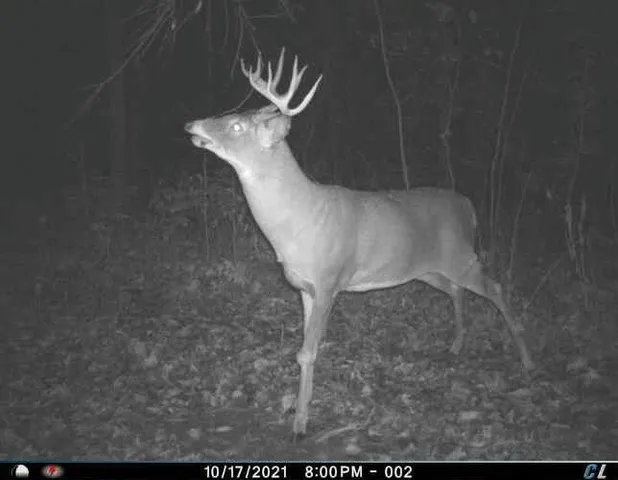 $1,695,000 | 0 Simon Road, Mondovi, WI 54755