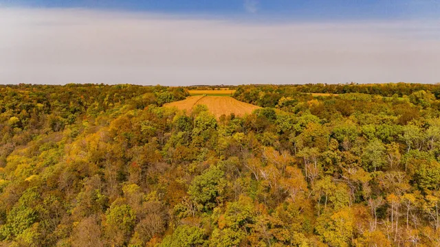 $1,695,000 | 0 Simon Road, Mondovi, WI 54755