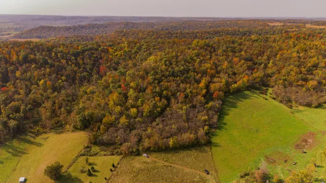 $1,695,000 | 0 Simon Road, Mondovi, WI 54755