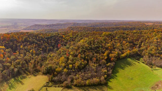 $1,695,000 | 0 Simon Road, Mondovi, WI 54755