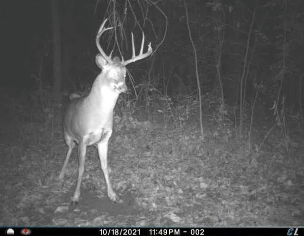 $1,695,000 | 0 Simon Road, Mondovi, WI 54755