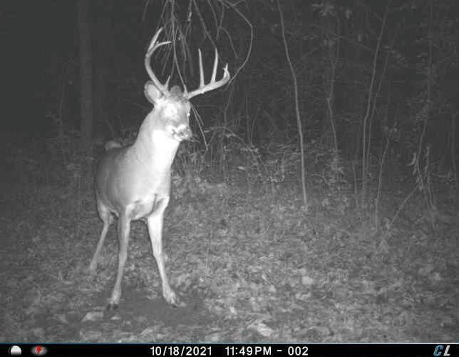 0 Simon Road Mondovi, WI 54755 - Photo 5 of 55 tempImageDyaBgf