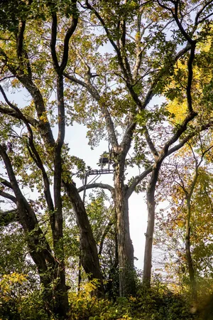 $1,695,000 | 0 Simon Road, Mondovi, WI 54755