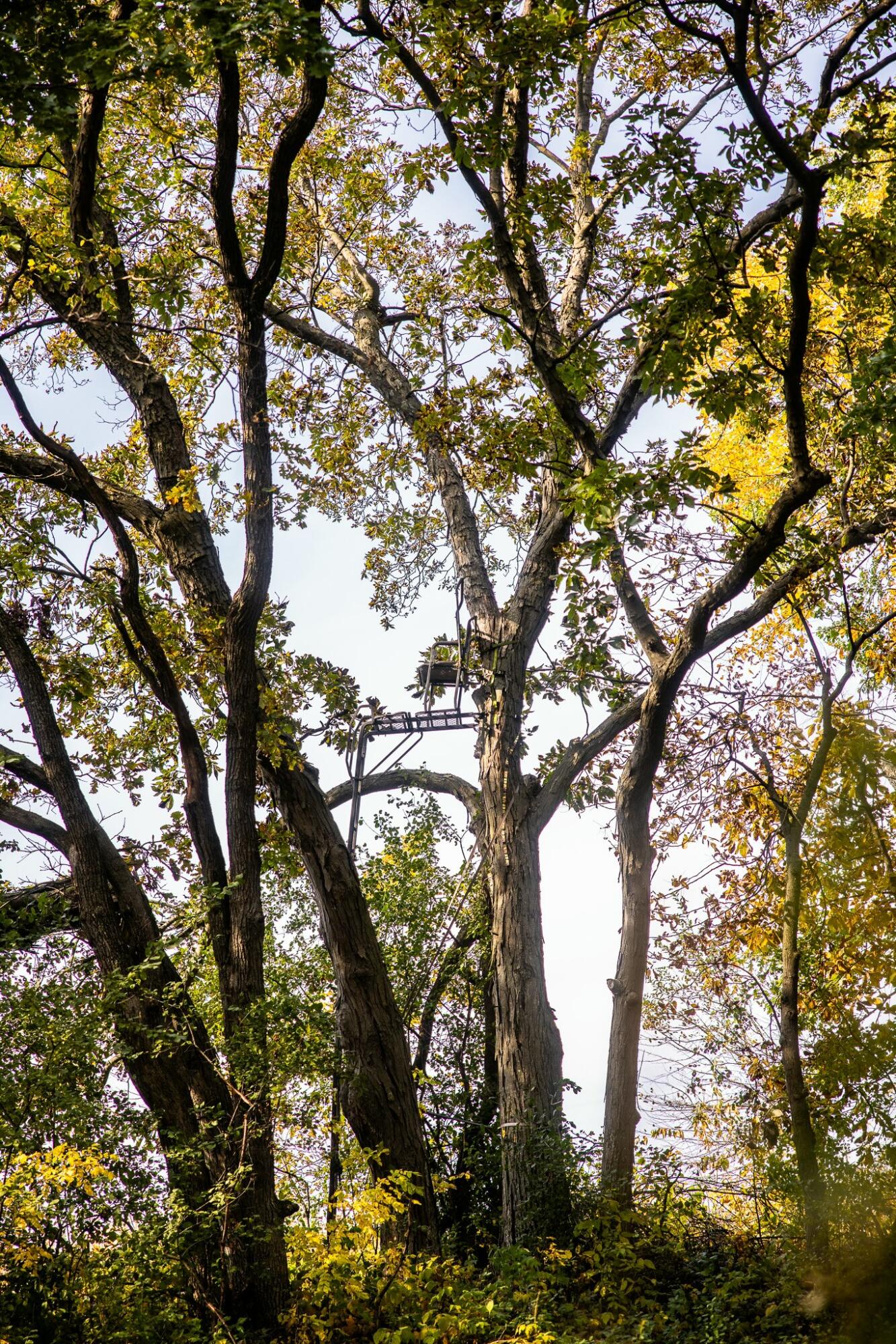 0 Simon Road Mondovi, WI 54755 - Photo 51 of 55 tempImagetI5HQz